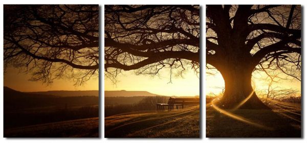 Tree In Sunset Canvas Wall Art - 3