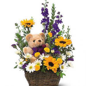 Basket & Bear Arrangement Blooms today