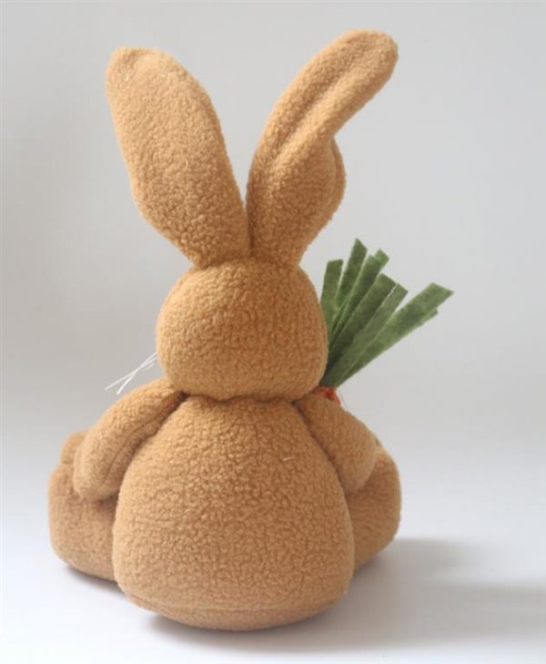 Cute Bunny Rabbit With Carrot - Back