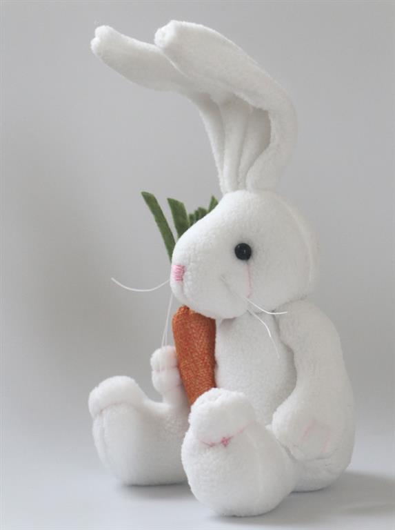 Cute Bunny Rabbit With Carrot - White Side