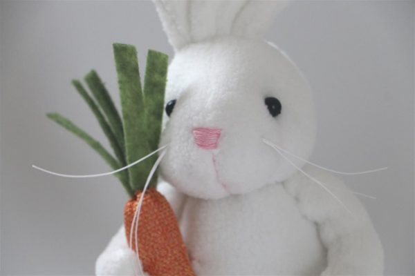 Cute Bunny Rabbit With Carrot - Whitecloseup