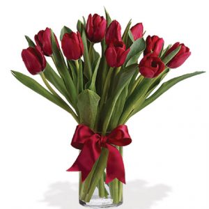 Radiantly Red Tulips Flower Delivery