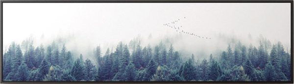 Single Canvas Nordic Forest Landscape