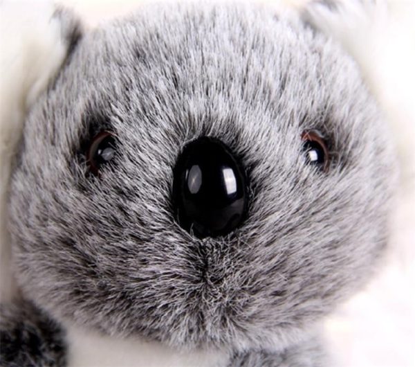 Cute Koala Bear Plush Toy - 3