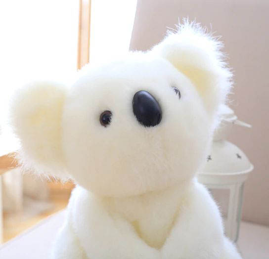Koala Bear Family - Plush Toy - 5