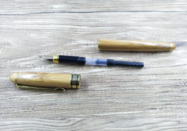 Bamboo Pen 4