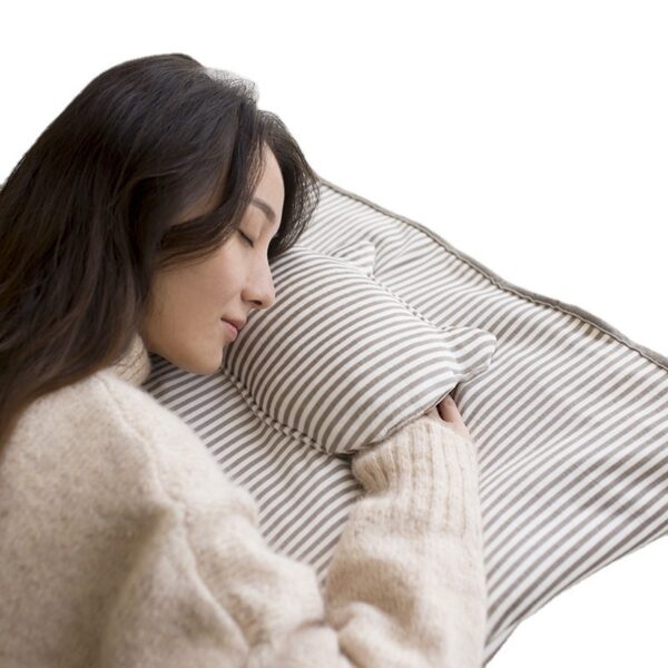 Multifunctional Electric Plush Warming Blanket 2